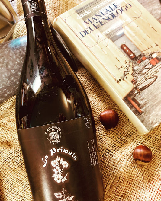 Pane e Vino 2025!